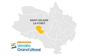 Cartographie de Saint Hilaire la forêt