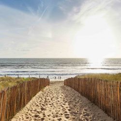 Webcam en direct de la plage des Conches à Longeville-sur-Mer