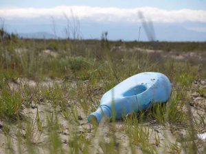 Eco-gestes : ramasser les déchets