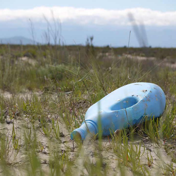 Eco-gestes : ramasser les déchets