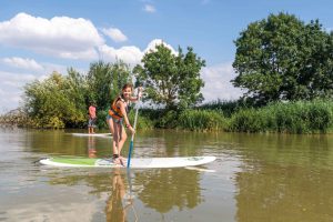 Incontournables : se balade dans le marais poitevin