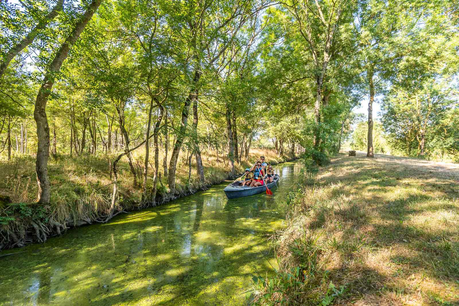 Balade en barque à la Maison du Marais à Longeville-sur-Mer - crédit