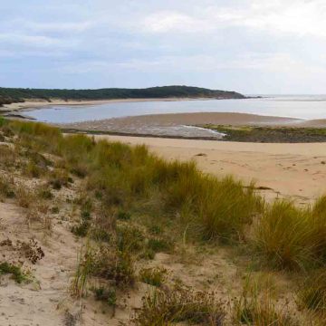 Géocaching : estuaire du Payré