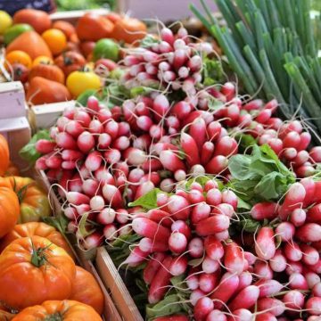 Marché radis produits locaux