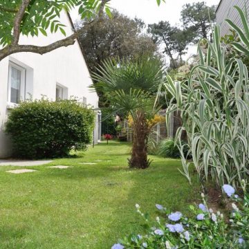 location-vacances-jard-sur-mer-villa-havene-palmier location-vacances-jard-sur-mer-villa-havene-palmier