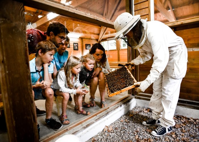 La Folie de Finfarine à Poiroux La Folie de Finfarine à Poiroux