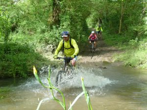 Sortie VTT en Vendée