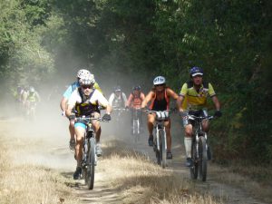 Vélo à Saint-Vincent-sur-Jard en Vendée