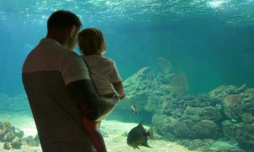 Aquarium_de_Vendée_papa_enfant