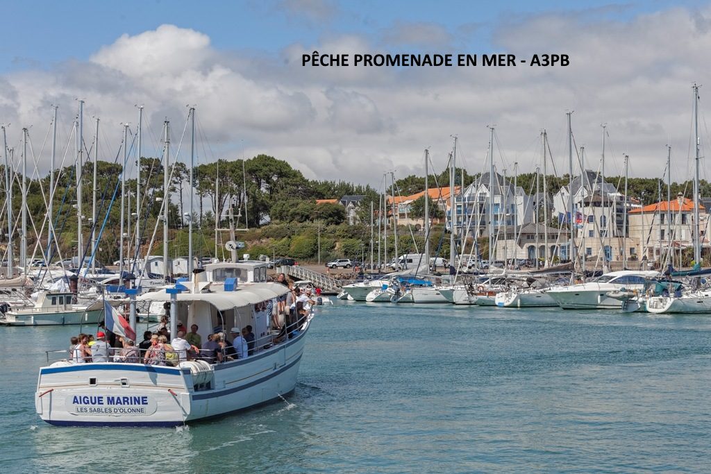 A3PB - PECHE ET PROMENADE EN MER - AIGUE MARINE