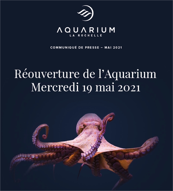 Aquarium de la Rochelle L'un des plus grands aquariums européens