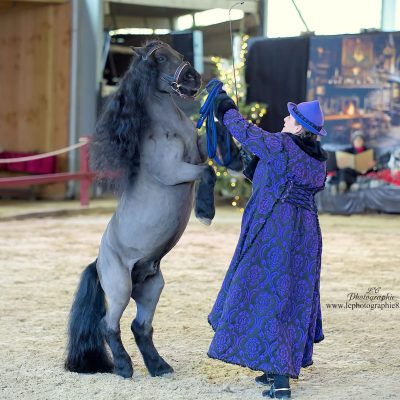 scene-artpaillange-grosbreuil-vendee-spectacle-equestre