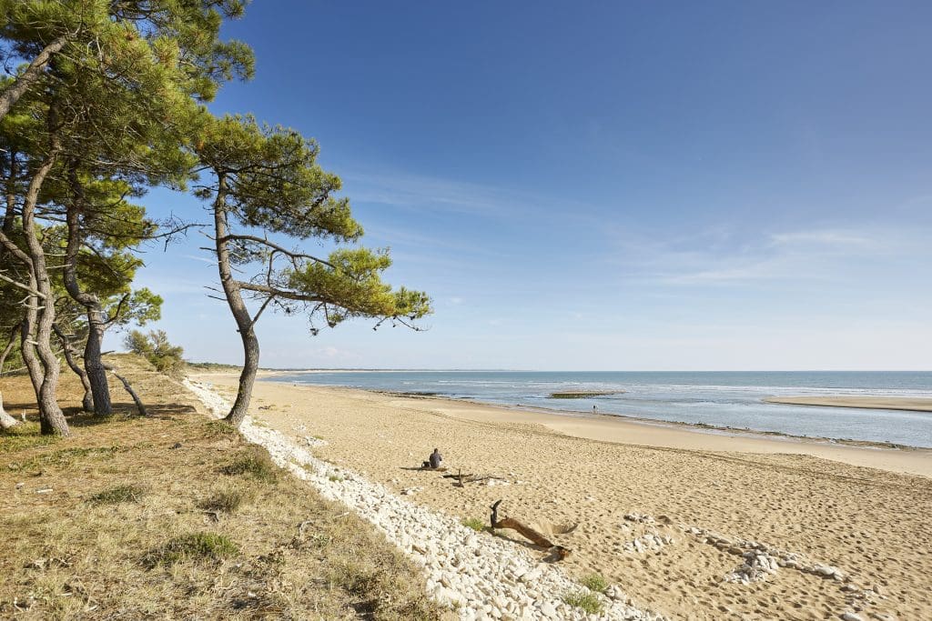 On va &agrave; la plage
