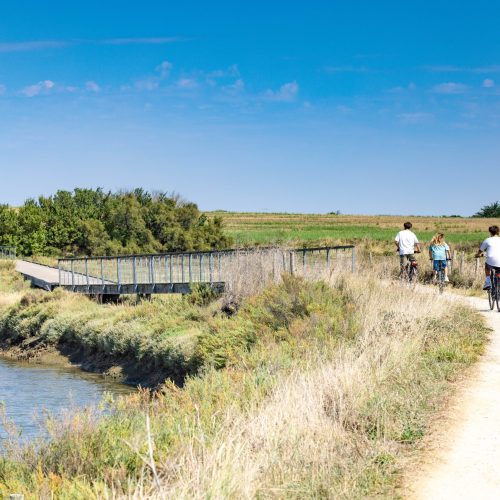 marais_guittiere_velo_passerelle_10_sbourcier