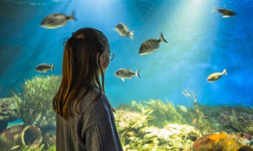 France, Talmont Saint Hilaire, 2025-05-07. Aquarium de Vendee. Photographie de Pierre Ollier / Onshore Studio.
