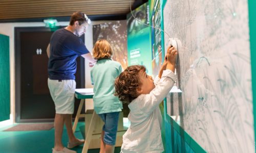 activite-la-grenouillere-biodiversite-st-benoist-sur-mer-scaled.jpg