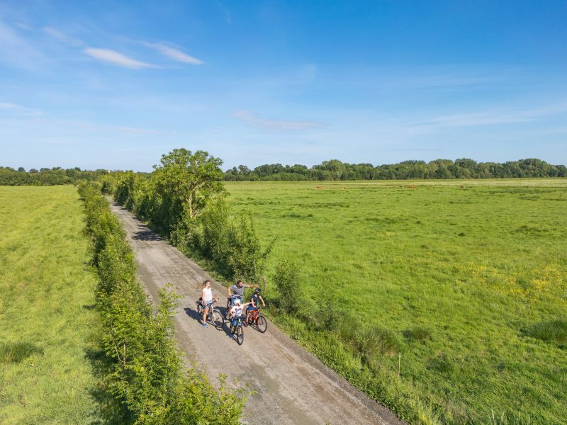 Noailles_Le Champ-Saint-Père_159