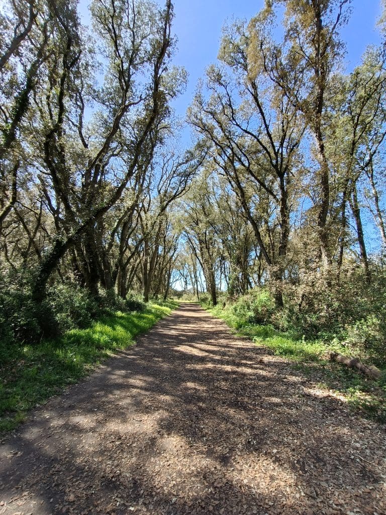 2025_Pointe du Payré_1 ©OT DVGL