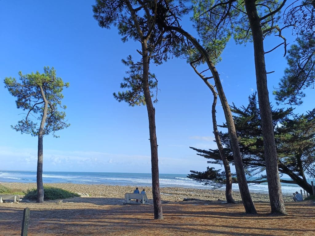 2025_Ragounite © OT DVGL