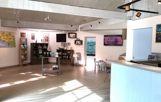 bureau-de-tourisme-de-jard-sur-mer-2026 bureau-de-tourisme-de-jard-sur-mer-2026