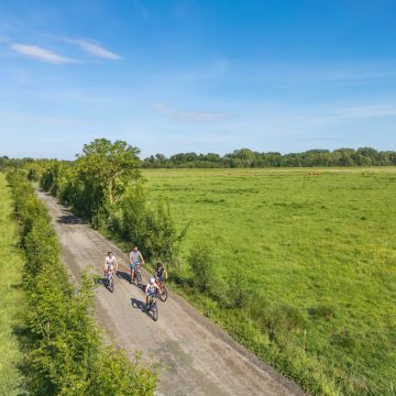 Noailles_Le Champ-Saint-P&egrave;re_158