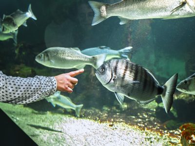 France, Talmont Saint Hilaire, 2025-05-07. Aquarium de Vendee. Photographie de Pierre Ollier / Onshore Studio.
