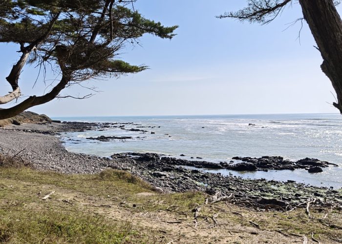Sentier des douaniers Talmont-Saint-Hilaire 2 Sentier des douaniers Talmont-Saint-Hilaire 2