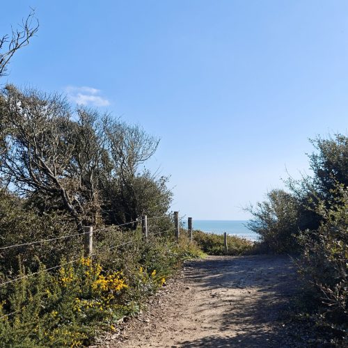 Sentier des douaniers Talmont-Saint-Hilaire 4 Sentier des douaniers Talmont-Saint-Hilaire 4